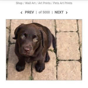 Meet your Posher, Mickey